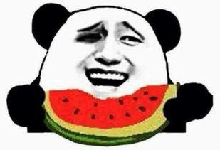 吃瓜贴吧
