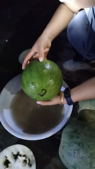 吃瓜撑了还没好