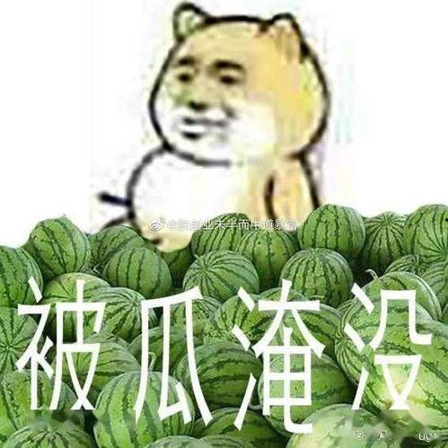 黑料吃瓜中心必吃大瓜