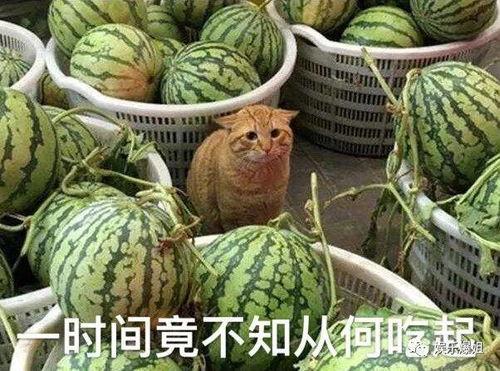 吃瓜爆料最新,神秘事件背后真相大揭秘！
