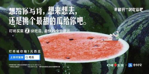 吃瓜吃饼文案搞笑