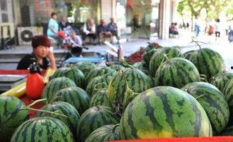 安徽亳州吃瓜,探寻安徽亳州的夏日美食之旅