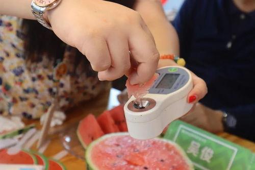 吃瓜直播可乐,可乐相伴，揭秘网红美食背后的故事