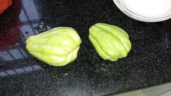 兔儿瓜如何吃,解锁美味新体验