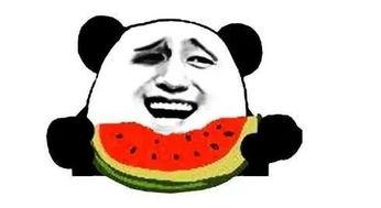 乖乖吃瓜的群众,揭秘乖乖吃瓜群众的背后真相