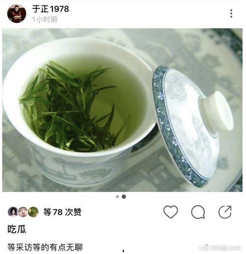 吃瓜金绿茶,网络红人的崛起与争议