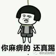 带你吃瓜奇葩副业,带你吃瓜，探索奇特的副业世界