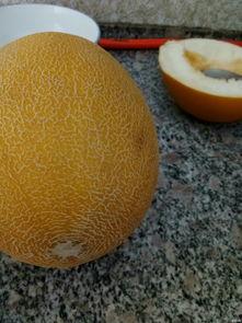 吃交瓜骨痛吗,吃西瓜引发关节疼痛？揭秘瓜果与关节健康的微妙关系