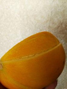 吃交瓜骨痛吗,吃西瓜引发关节疼痛？揭秘瓜果与关节健康的微妙关系