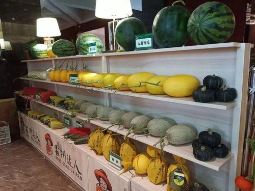 会昌吃瓜事件,一场网络狂欢背后的真相与反思