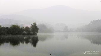 一蓑烟雨吃瓜转播,带你领略网络红人的魅力