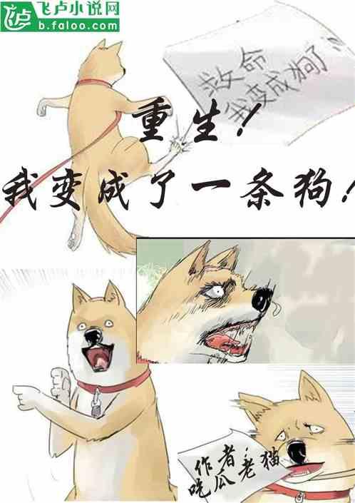 坐等吃瓜的小说,坐等吃瓜的奇幻冒险之旅