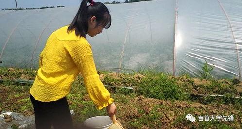 不问不离吃瓜版,不问不离吃瓜版，带你领略幕后风云