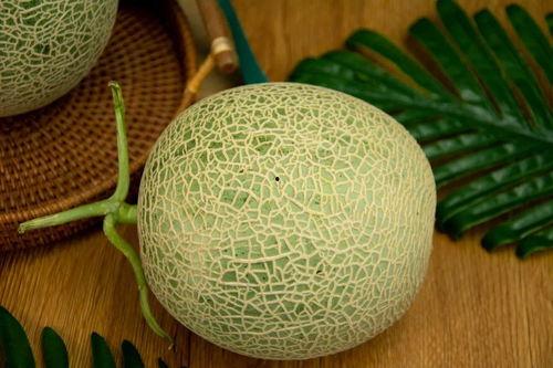 发烧可以吃网纹瓜么,适宜还是禁忌？