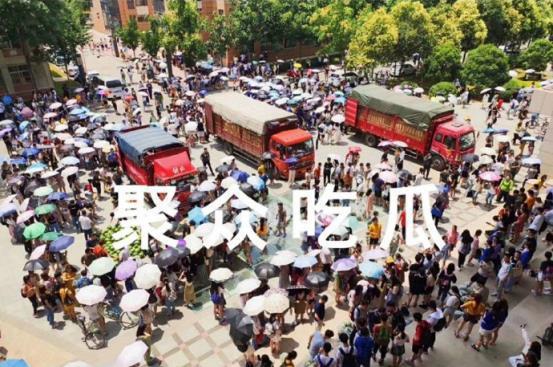 各大高校吃瓜资源,揭秘各大校园的吃瓜盛事与幕后故事