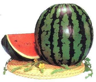 吃瓜的利与弊,揭秘网络舆论的双刃剑