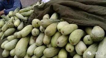 稀碎吃瓜,揭秘娱乐圈幕后故事