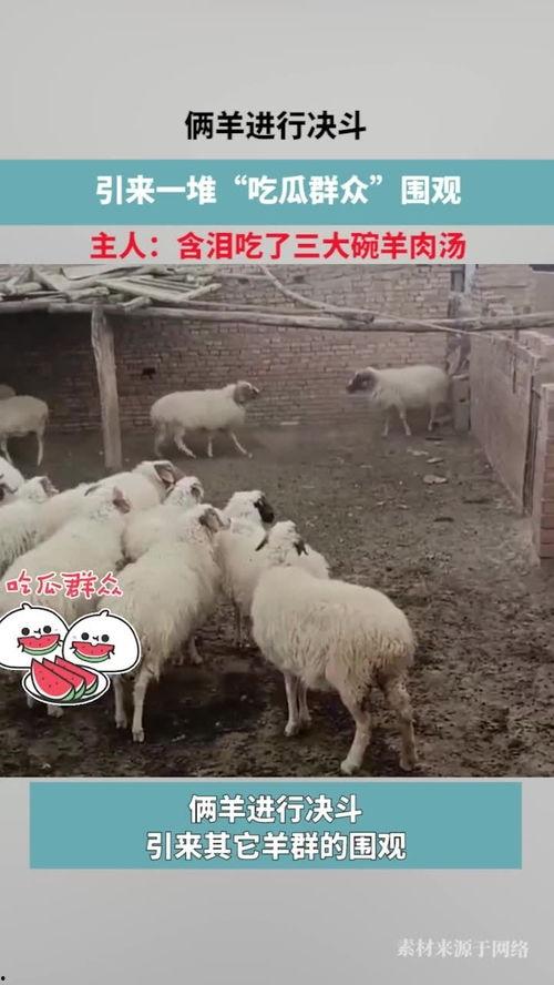 关于羊吃瓜的诗句,诗意田园画卷