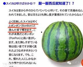 按早年规矩吃瓜,揭秘早年规矩下的瓜界风云