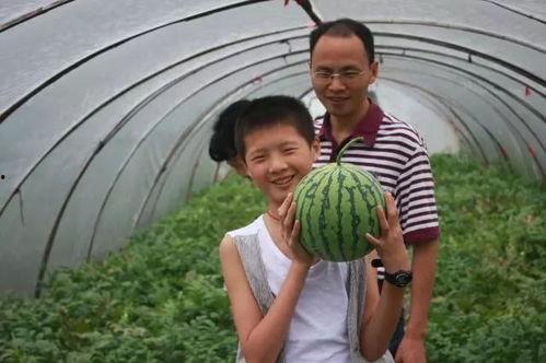 杰麟吃瓜,揭秘娱乐圈幕后故事