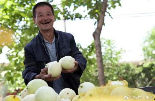 西安吃瓜直播,一网打尽街头美食与市井百态
