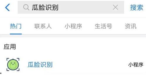 吃瓜怎么搜索,一探究竟的搜索技巧