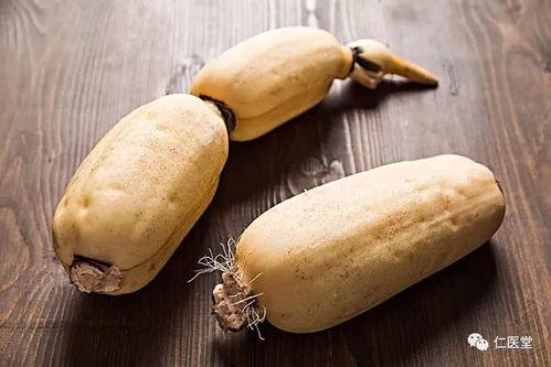 水里吃瓜,探寻水中吃瓜的独特魅力