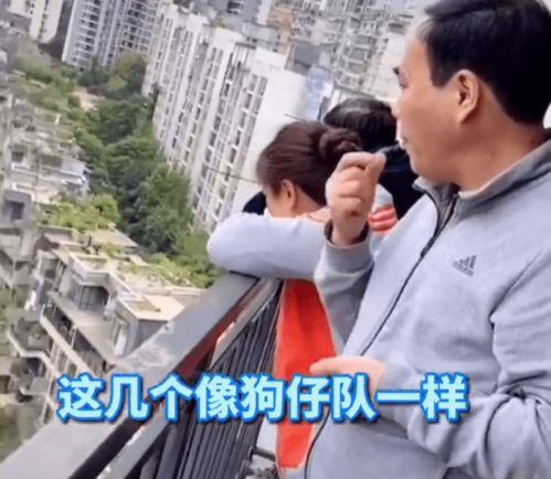 秦帅吃瓜,揭秘娱乐圈幕后故事