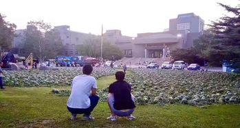 勉县吃瓜事件真相,揭开真相背后的曲折历程