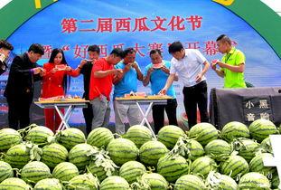 夏邑县吃瓜大赛,全民狂欢的吃瓜盛宴