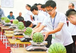 夏邑县吃瓜大赛,全民狂欢的吃瓜盛宴