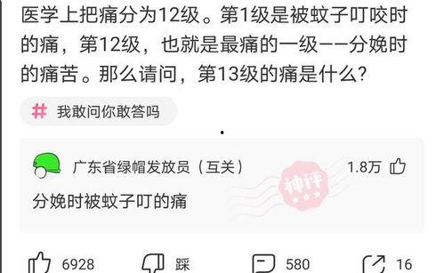 带你吃瓜的注水评论,揭秘“带你吃瓜”背后的注水评论真相