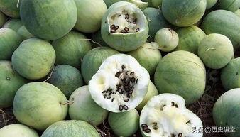 嗑瓜子吃瓜描述,揭秘休闲时光中的社交乐趣