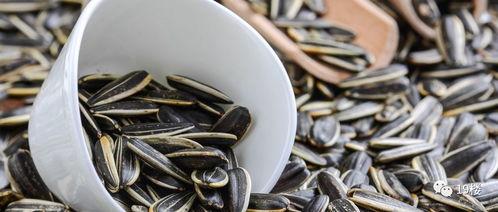 嗑瓜子吃瓜描述,揭秘休闲时光中的社交乐趣