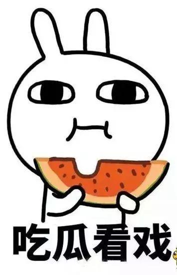 对吃瓜的看法