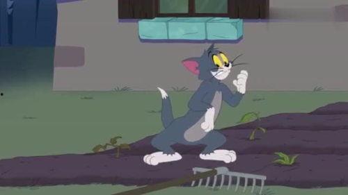 猫和老鼠汤姆吃瓜,汤姆猫的夏日瓜果盛宴