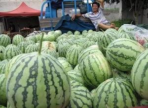 飞速吃瓜教学,趣味教学新风尚