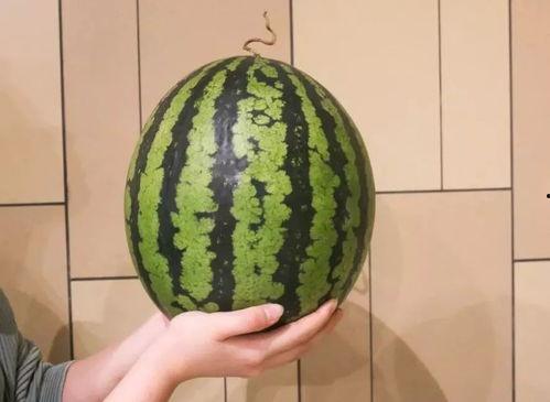 今日广州吃瓜,一网打尽今日新鲜事