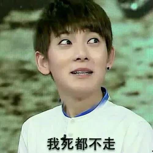 吃瓜所树姥姥,吃瓜群众眼中的姥姥传奇