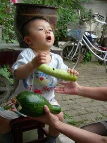 吃瓜所树姥姥,吃瓜群众眼中的姥姥传奇