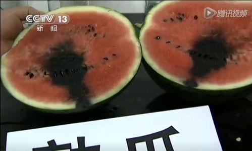 带你吃瓜机关视频,揭秘短视频背后的趣味与真相