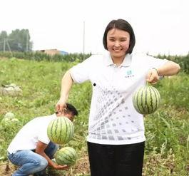 台湾贝贝吃瓜群众,揭秘娱乐圈幕后风云