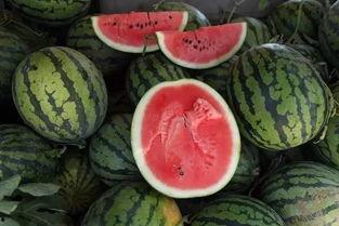 吃瓜久活,揭秘网络热议背后的真相与趣味