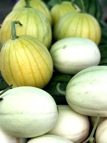 吃瓜久活,揭秘网络热议背后的真相与趣味