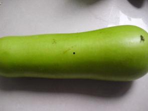 高血压吃葫芦瓜好吗,养生又降压