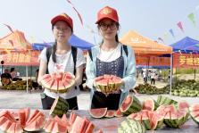 广西吃瓜群众,揭秘当地独特美食文化