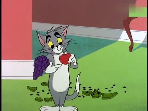 猫和老鼠汤姆吃瓜,汤姆猫的夏日瓜果盛宴