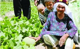 新疆老人吃哈密瓜,传承甜蜜生活记忆