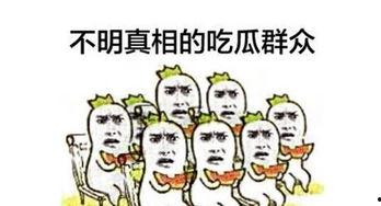 兰山吃瓜群众,揭秘民间热点事件背后的故事