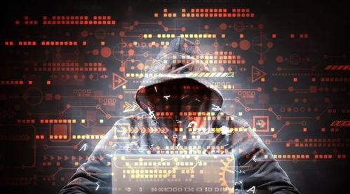 黑客吃瓜不打烊,揭秘网络世界的神秘面纱